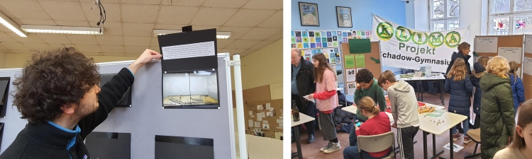 Projekte Klima und Ausschwitz