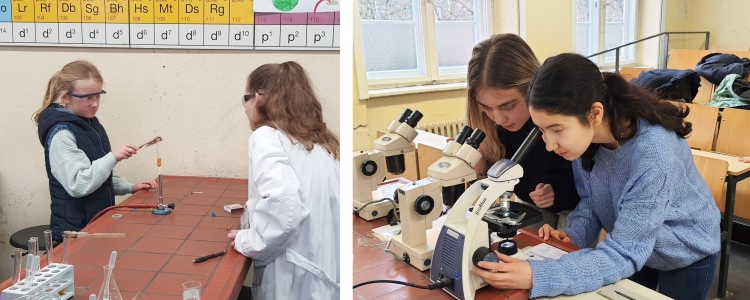 Versuche und Versuche 2023