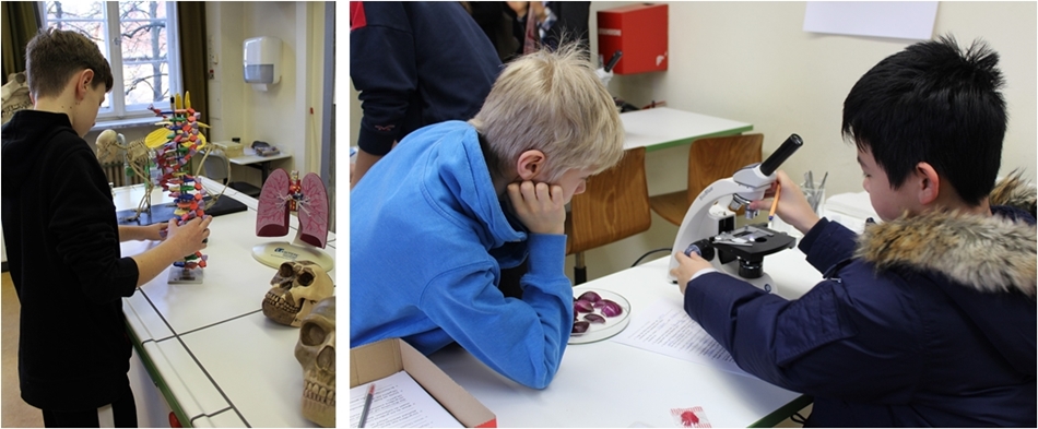 Tag der offenen Tür Forscher