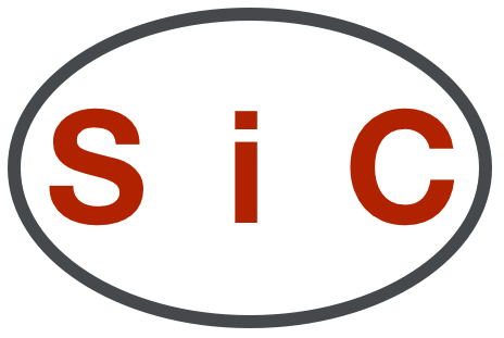 Schulinternes Curriculum Spanisch